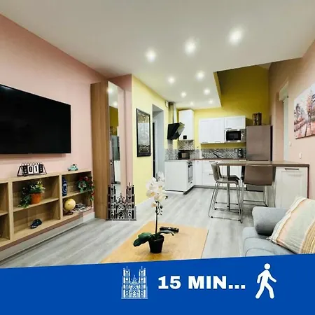 Apartment 70m2 Climatise - Parking Prive - Lycee Roosevelt - Arena