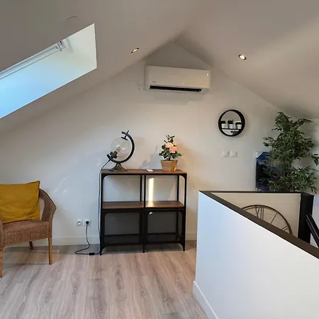 70m2 Climatise - Parking Prive - Lycee Roosevelt - Arena Apartment